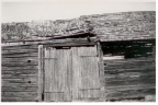 Del av ladugården, Björnön Ugglebo 1942
