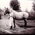 Okänd kvinna med häst