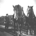 1895 Edvin Löving med hästar.Råckarp Malexander
