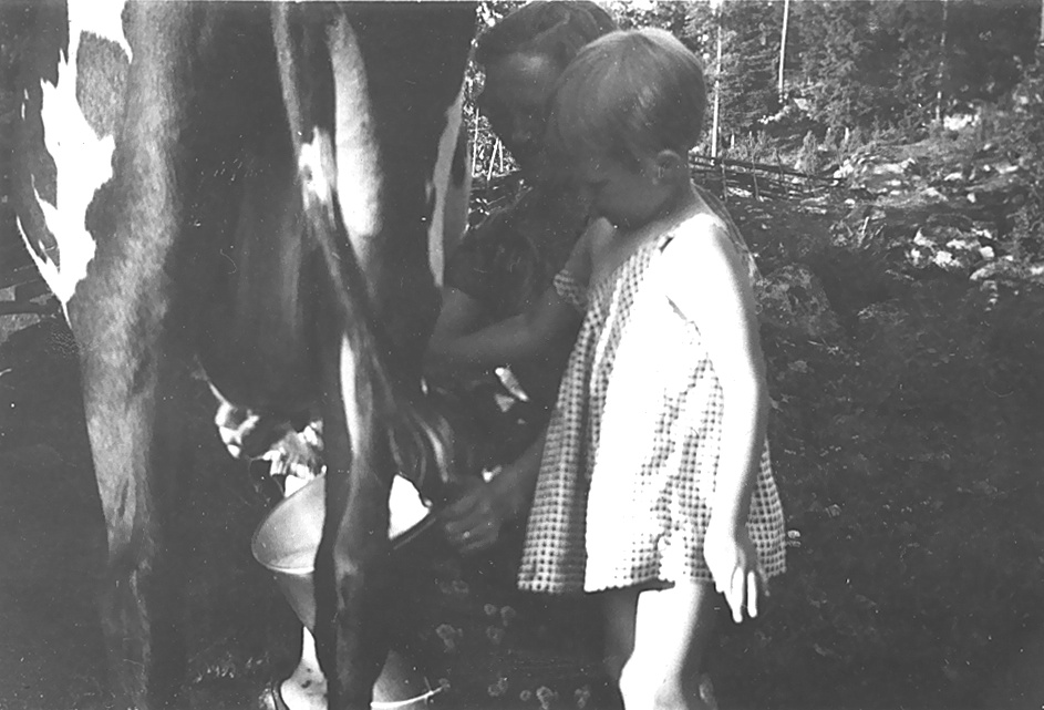 1905 Mjölkning i Bäckstugan